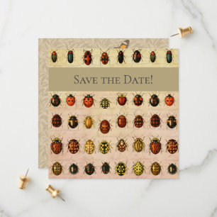 Save The Date Spécimen de coccinelle vintage Motif Insecte antiq