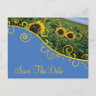 Save The Date - Sunflowers Announcement Postcard