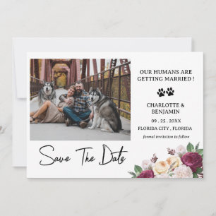 Save The Date Thème de chien floral bordeaux avec photo personna