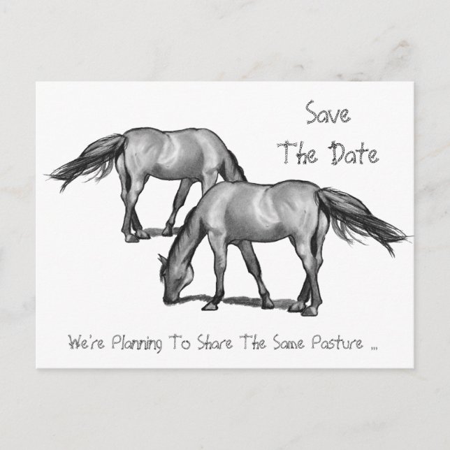 Save The Date: Two Horses: Getting Hitched Announcement Postcard (Front)