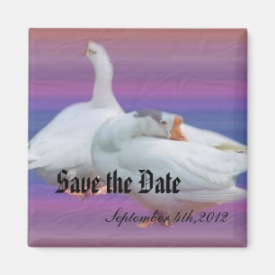 save the date, two white geese in fancy  backgrou magnet