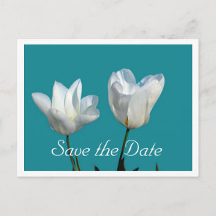 save the date, two white tulip flowers announcement postcard
