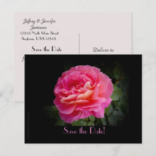 Save the Date Vow Renewal Ceremony Pink Rose Announcement Postcard