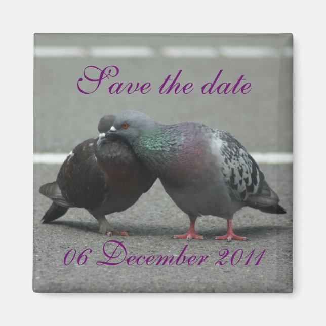 save the date with pigeons magnet (Front)