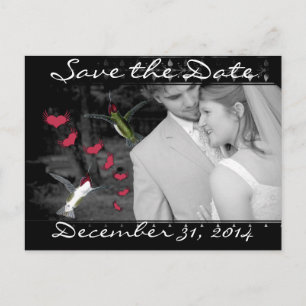 Save The Date with Your Photos Announcement Postcard