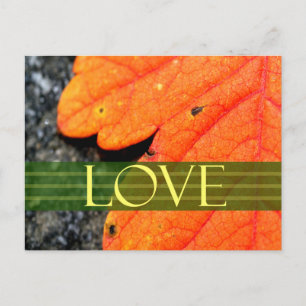 Save The Dates Wedding Card
