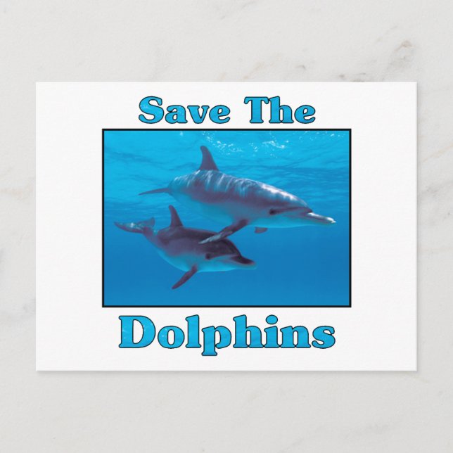 Save the Dolphins Postcard (Front)