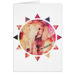 Save the Elephants, Baby Elephant Sunshine