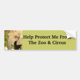 Save The Elephants Bumper Sticker