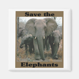 Save the Elephants Magnet