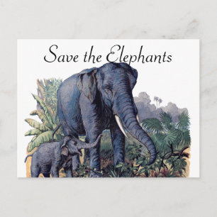 Save the Elephants Postcard