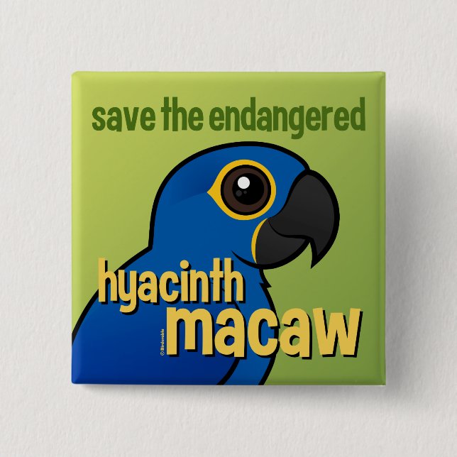 Save the Endangered Hyacinth Macaw 2 Inch Square Button (Front)