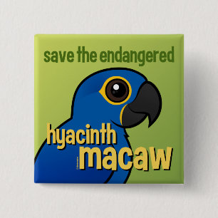 Save the Endangered Hyacinth Macaw 2 Inch Square Button
