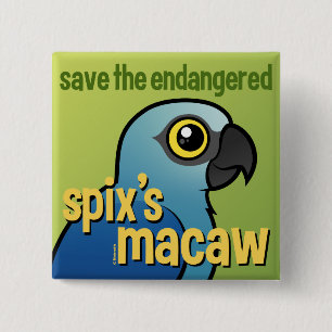 Save the Endangered Spix's Macaw 2 Inch Square Button
