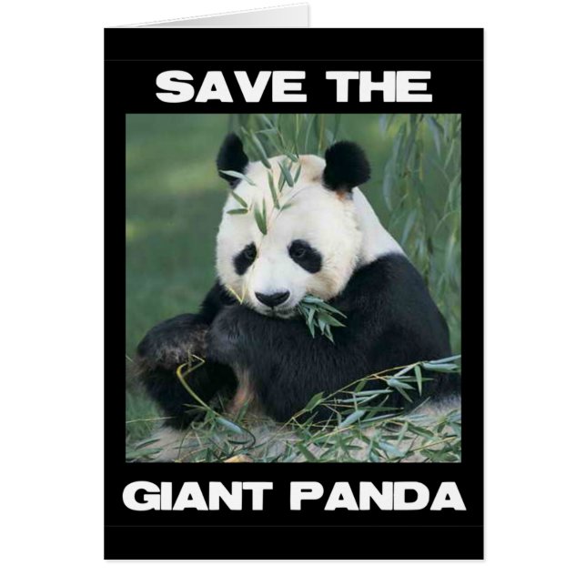 Save the Giant Panda (Front)