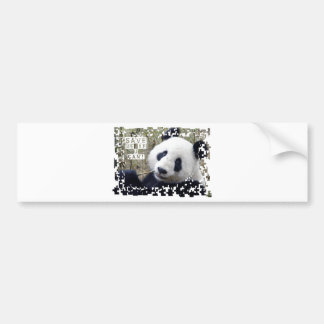Save The Giant Panda Bumper Sticker