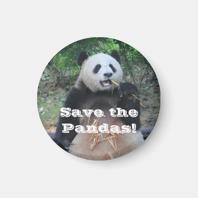 Save the Giant Pandas Magnet (Front)
