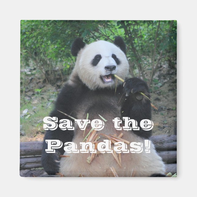 Save the Giant Pandas Magnet (Front)
