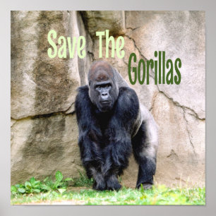 Save The Gorillas Poster