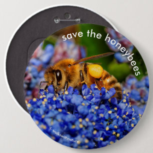 Save the Honeybees Pollinating California Lilac 6 Inch Round Button