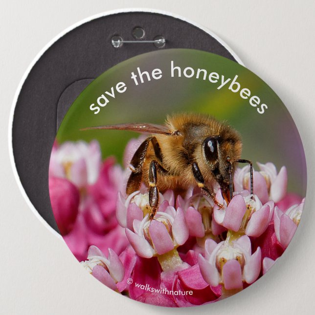 Save the Honeybees Pollinating Narrowleaf Milkweed 6 Inch Round Button (Front & Back)