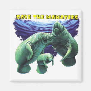 Save the Manatees Magnet