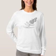 Save The Monarch Butterfly Population