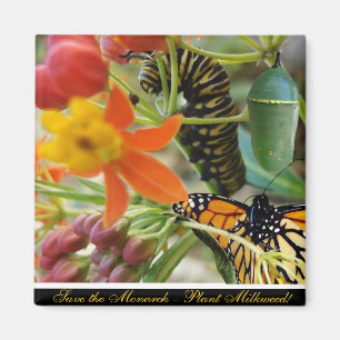 Save the Monarch Magnet