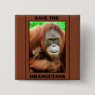 Save the Orangutans 2 Inch Square Button