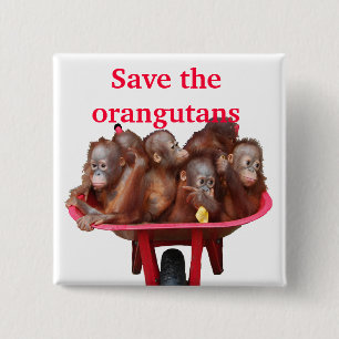 Save the Orangutans Cute Babies 2 Inch Square Button