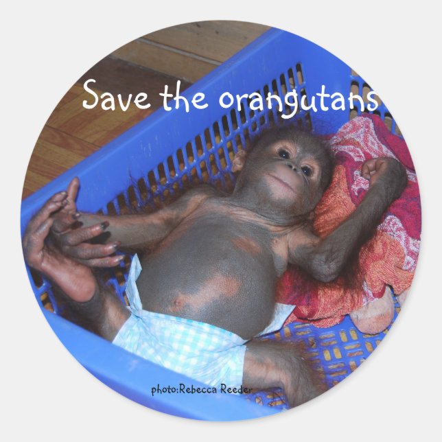 Save the Orangutans Cute Baby Classic Round Sticker (Front)