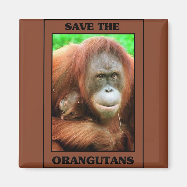 Save the Orangutans Magnet (Front)