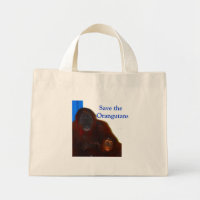 Save the Orangutans