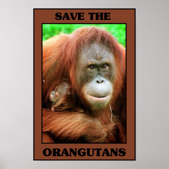 Save the Orangutans Poster (Front)