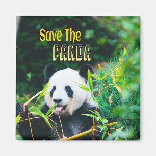 Save The Panda Magnet