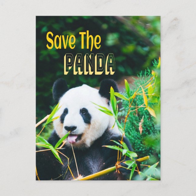Save The Panda Postcard (Front)