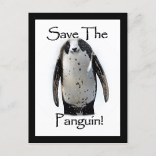 Save The Panguin! Postcard