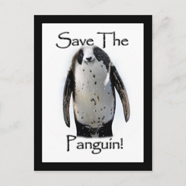 Save The Panguin! Postcard (Front)