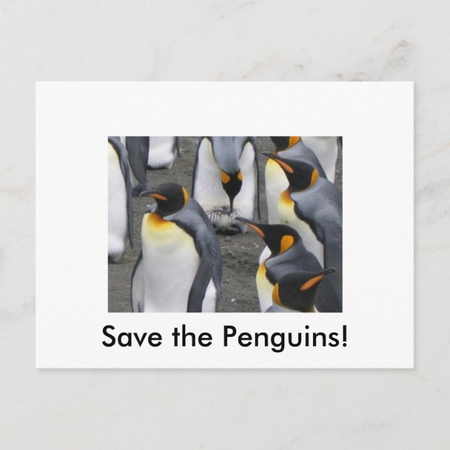 Save the Penguins! Postcard (Front)