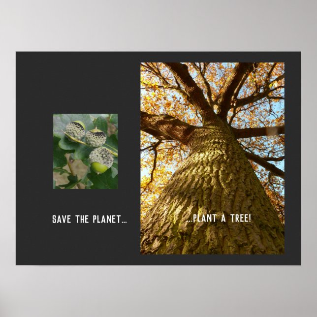 Save The Planet Poster (Front)