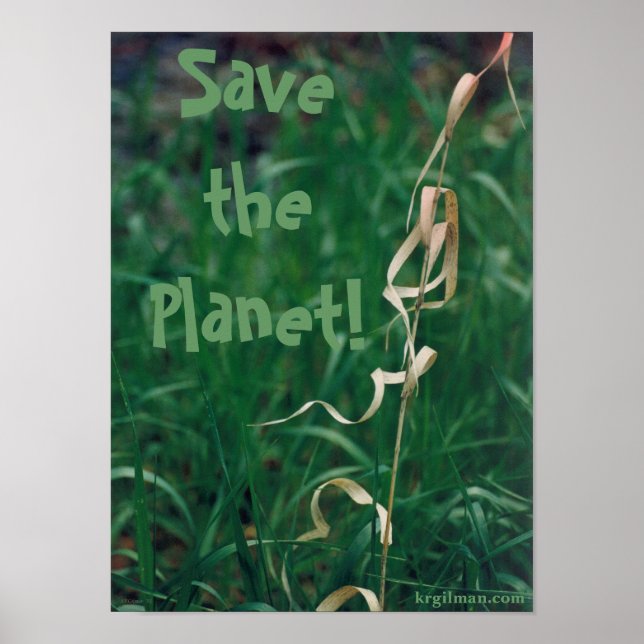 Save the Planet! Poster (Front)