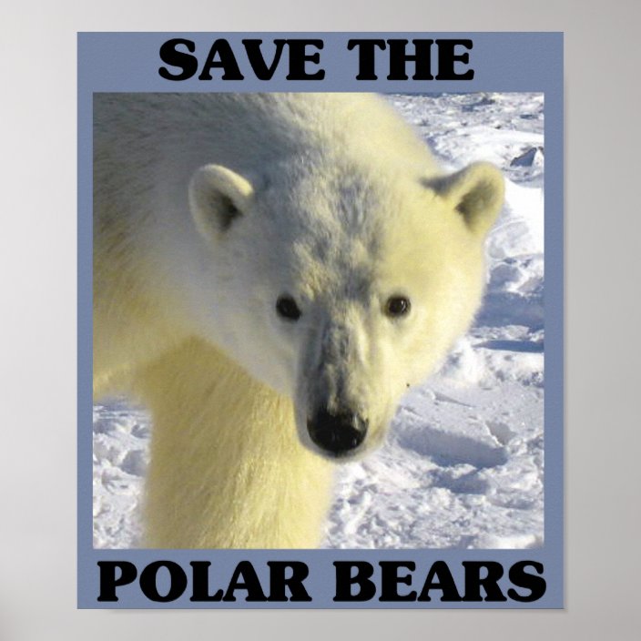 Save the Polar Bears Poster Zazzle.ca