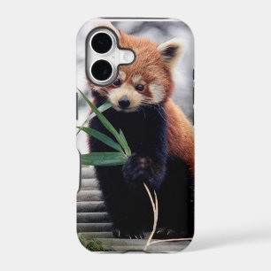 Save the Red Panda iPhone 5/5S Case