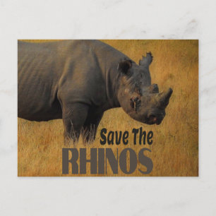 Save The Rhinos Postcard