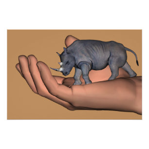 Save The Rhinos ! Poster
