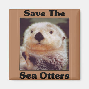 Save the Sea Otters Magnet