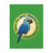 Save the Spix's Macaw from Extinction