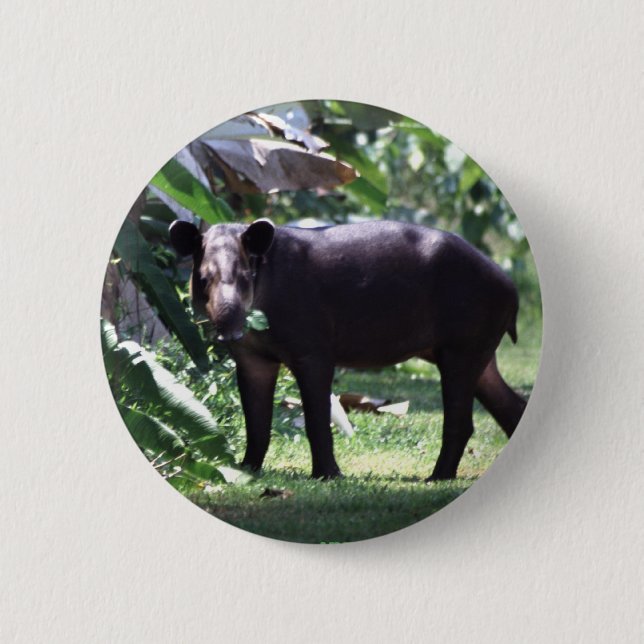 save the Tapir 2 Inch Round Button (Front)