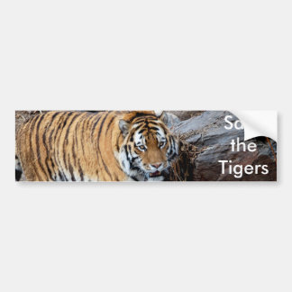 Save the Tigers Bumper Sticker