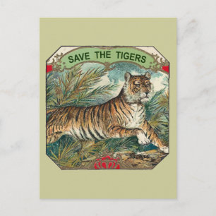 Save The Tigers Postcard